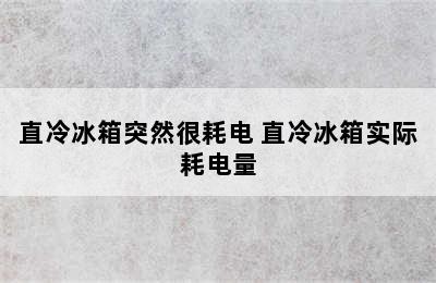 直冷冰箱突然很耗电 直冷冰箱实际耗电量